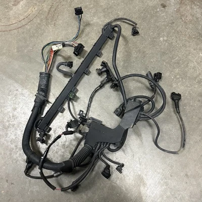Arnés de cableado del motor BMW E46 M54 MS43 01-03 325i 325ci 325xi 330i 330ci 330xi Foto 1 de 4