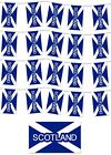 Scotland Garden Party Bunting St Andrews Day Burns Night / Football / Rugby - 6m