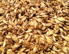 20 Kg Bio Dinkelspelz Dinkelspreu Dinkel Dinkelspelzkissen Dinkelspreukissen