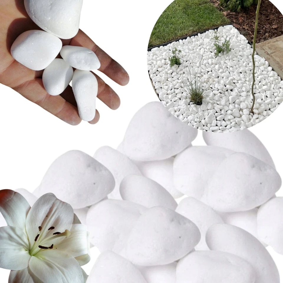 WHITE Thassos Marmorkies 20kg schneeweiß 1-3cm Zierkies Kieselsteine Gartenkies
