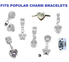 PET CAT DOG CHARM CREMATION JEWELLERY BRACELET URN KEEPSAKE MEMORIAL ASH LOCKET