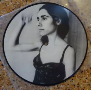 PJ HARVEY- Send His Love To Me - 7" Vinyl Record Picture Disc - TESTED Excellent - Picture 1 of 4