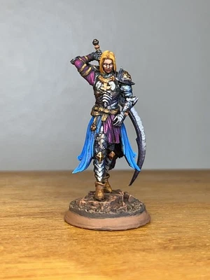 Miniatura de Luchador Paladín Elfo Pintado, Pro Pintado D&D DND Miniatura DM Stash Foto 1 de 4