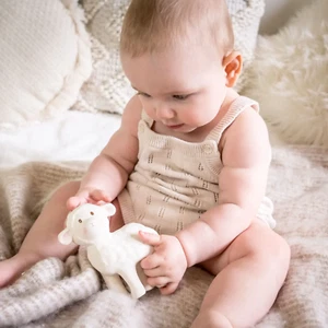 baby toy, lamb baby soft, natural, natural rubber teether head, play, infant toy - Picture 1 of 8