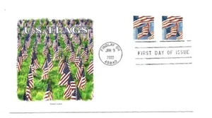5655 US Flags 2022 bobina con spazi vuoti Panda Cachets coppia FDC - Foto 1 di 1