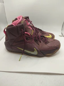 NIKE LeBron 12 Double Helix Merlot Silver Volt Pink 684593-607 Youths Sz US 5.5 - Picture 1 of 9