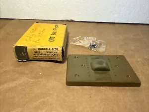 HUBBELL 1750 GRAY “HYPALON” WEATHERPROOF PLATE W/ 2 SCREWS ONLY - Picture 1 of 6