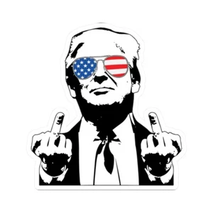 10 Stück Trump Patriotische Mittelfinger Aufkleber, Autoaufkleber, Trump Sticker - Bild 1 von 13