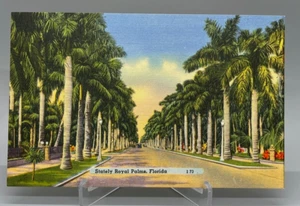 Vintage Stately Royal Palms Florida Postkarte unverpostet Leinen 1940er Jahre, Farbe Chrom - Bild 1 von 2