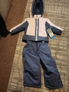 Girls Toddler Winter Jacket/Bib Set - Picture 1 of 5