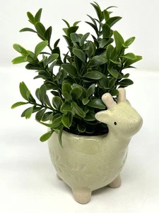 Mini 6" Künstlicher Salbei Buchsbaum Kunststoff Pflanze im Topf in Keramik Hirsch Topf, Handma - Bild 1 von 7