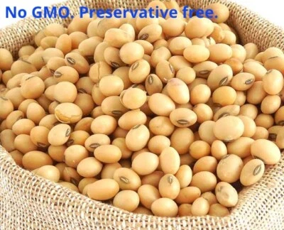 SIMPLYONLINE ORGANIC NON GMO SOY BEANS - DRIED SOYA BEANS FOR TOFU SOY MILK 25 Gram to 10 KG