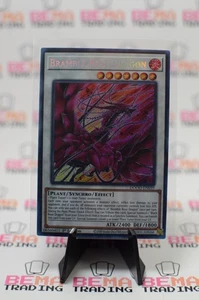 Yugioh Brombeerrosendrache DOOD-DE039 Secret Rare 1. Auflage NM - Bild 1 von 3