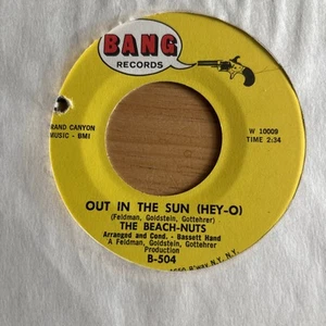 THE BEACH-NUTS Out In The Sun / Someday Soon 45 Bang VG++ - Picture 1 of 2