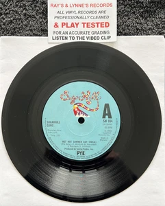 Sugarhill Gang – Hot Hot Summer Day 7'' Vinyl 1980 CLEANED/TESTED EX VIDEO CLIP - Foto 1 di 5