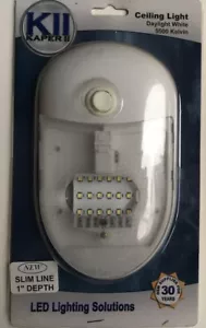 Diamond Group 65429 Led Int Pancake Light-sngl Wht Dome Light- LED 55-6000 - Bild 1 von 2