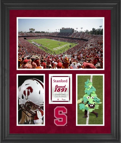 Stanford Cardinals Stanford Stadium Framed 20x24 3-Opening Collage Cover