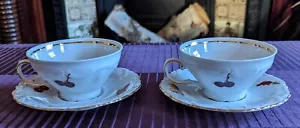Winterling Roslau Bavaria Germany Tea Cup and Saucer Set of 2 - Picture 1 of 21