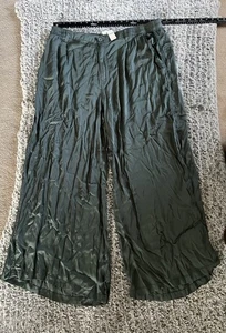 Aerie Damen Dark Sage Satin High Waist Super Baggy Chino Hose Größe XXL Neu mit Etikett - Bild 1 von 7