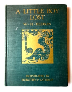 A Little Boy Lost ~ W.H. Hudson~ Dorothy P Lathrop Color Plates ~ 1929 Knopf - Imagen 1 de 10