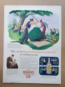 Vintage 1946 Print Ad Advertisement Hiram Walker's Gin Spanking Juniper Bush - Picture 1 of 1