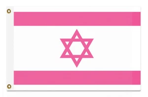 BANDIERA PROTESTA ISRAELE ROSA E BIANCA anti-Netanyahu pace giustizia uguaglianza Palestina - Foto 1 di 6