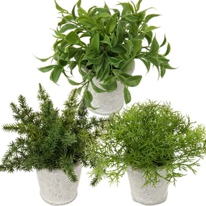 3 paquetes de pequeñas plantas de helecho artificial plantas falsas en macetas de cemento, - Imagen 1 de 5
