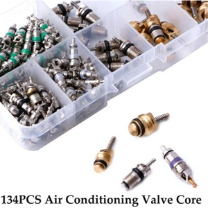 134pcs Car A/C Air Conditioning R134A Valve Core Assortment Remover Tool Kit - Picture 1 of 9