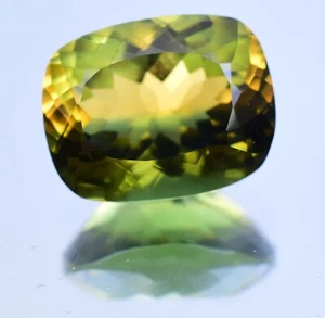 Natural Bi-Color Tourmaline 14.90 Ct Cushion Cut Rare Certified Loose Gemstone - Picture 1 of 6