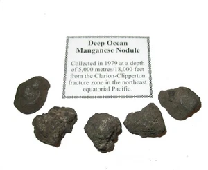 Deep Ocean Manganese Polymetallic Nodule Glomar Explorer 1979 1 per bid medium - Bild 1 von 5