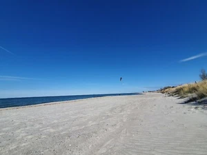 Bett&Butze Heiligenhafen Meerblick Ferienwohnung Ostsee Hund 5P Strandkorb - Bild 1 von 20