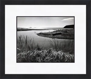 Ansel Adams Gras Schilf Wasser Little River Northern CA individuell gerahmter Druck - Bild 1 von 1
