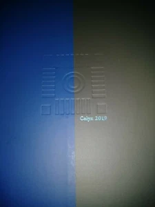 WASHINGTON AND LEE UNIVERSITY YEARBOOK~LEXINGTON,VA~2019 CALYX - Picture 1 of 10