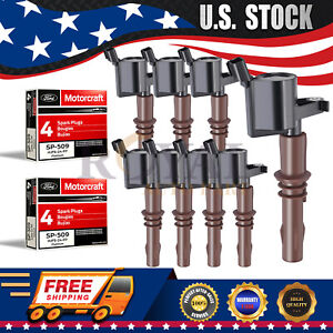 (8)  Ignition Coils Brown Boot & 8 Motorcraft SP509 Spark Plugs for Ford DG521