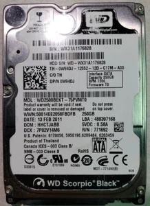 Western Digital 250Gb, WD2500BEKT-75PVMT0, HHCTJABB, 13 FEB 2011 - Afbeelding 1 van 1