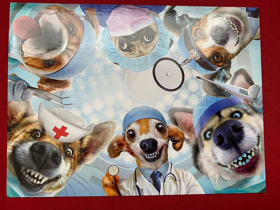 Get well / feel better soon Leanin Tree Greeting cards dog, duck,  sunflower - Image 1 of 1