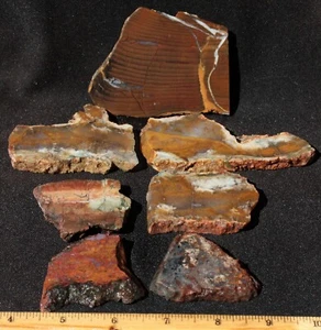 B25  ~  10.3oz  8pc Slabs - Folmsby Ranch, Bear Creek, Cady Mountains Asst. - Picture 1 of 11