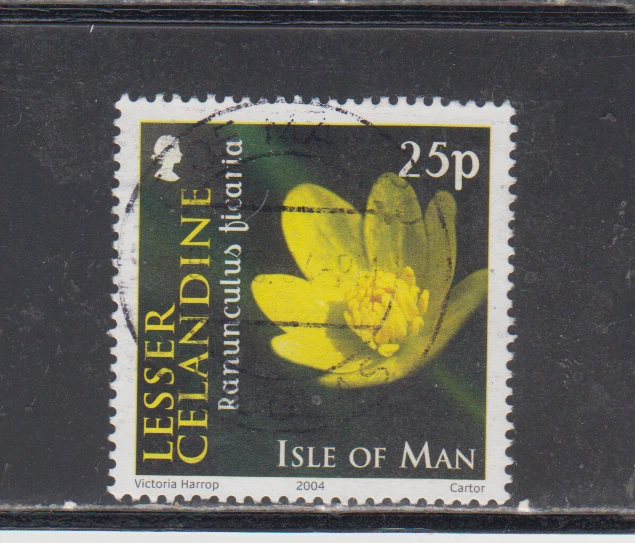 ISLE OF MAN :  2004 - USED  - SCOTT #  1033  FLOWERS - Image 1 of 1