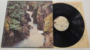 Cat Stevens Back To Earth LP ITALY 1978 - Picture 1 of 1