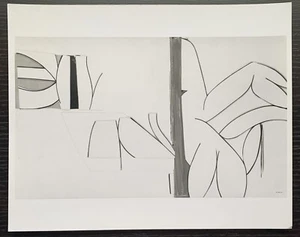 1975 JUDITH ROTHSCHILD 8X10 B/W GLOSSY PHOTO CRAZY JANE 2 RELIEF COLLAGE #2 - Picture 1 of 2