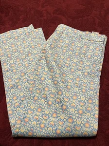 Ruby Rd. Women's Size 10 Stretch Blue Flower Print Pants Chino - Picture 1 of 8