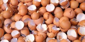 Egg Crushed Shells Brown Fertilizer Organic Calcium Eggshells Brown egg chickens
