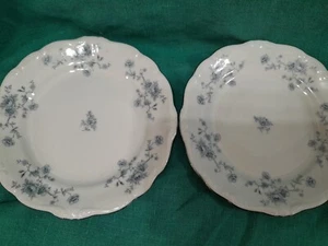 2 Johann Haviland Vintage Dessert Plates 6 Inches Bavaria Germany - Picture 1 of 5
