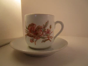 Vintage Mark & Gutherz Carlsbad China Austria Demitasse Cup & Saucer Pink Flower - Picture 1 of 10