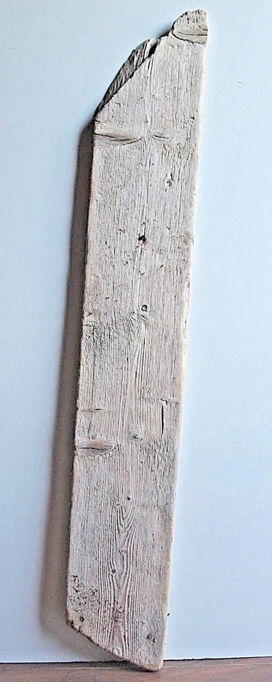 Treibholz Schwemmholz 1 MEGA Brett Garten Basteln,Deko Terrarien Regal Garderobe - Bild 1 von 4