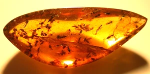Mating Swarm of Cretaceous Midges in Burmese Burmite Amber Fossil Dinosaur Age - Picture 1 of 12