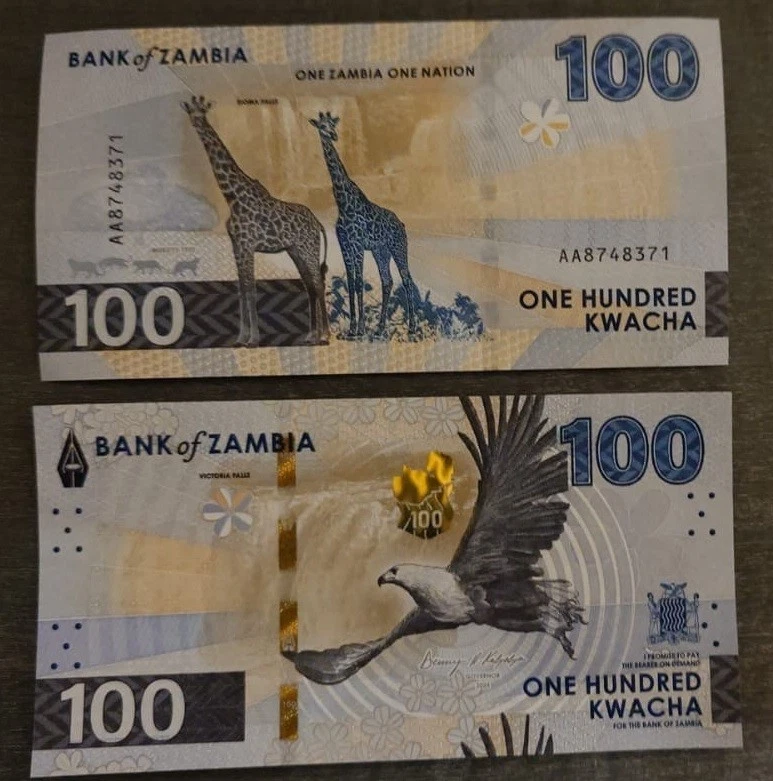 Zambia - 100 Kwacha 2024 (2025) UNC P. W65 - Jirafa Lviv-Zp Foto 1 de 1