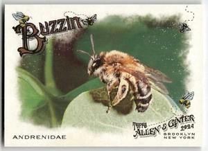 Allen and Ginter Buzzed #Buz-7 Adrenidae 2024 - Imagen 1 de 2