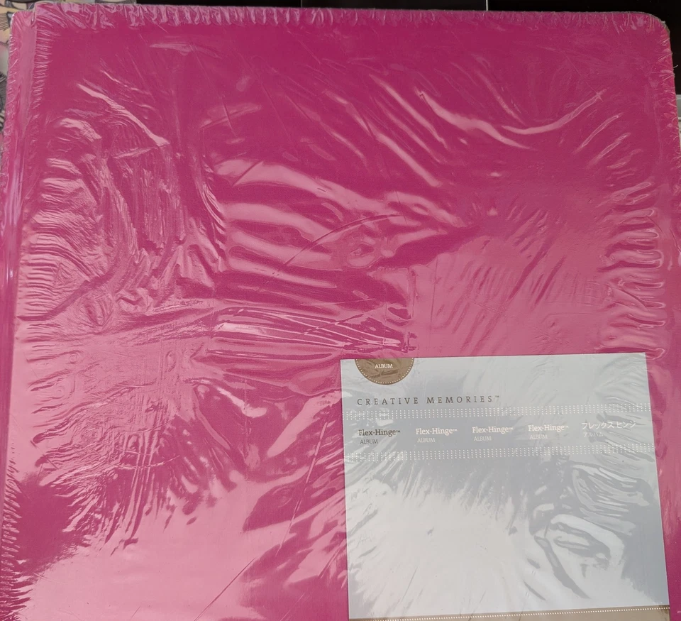 Rosa Oscuro Recuerdos Creativos 12x12 Álbum Antiguo Foto 1 de 1