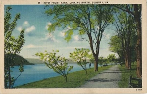 Postcard River Front Park Sunbury Pennsylvania Linen Unposted - Picture 1 of 2